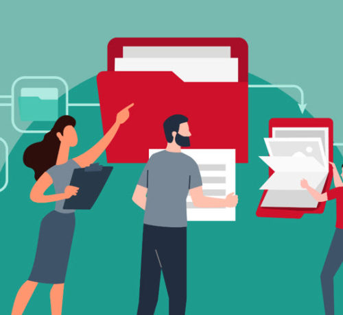 Роль: Архитектор баз данных